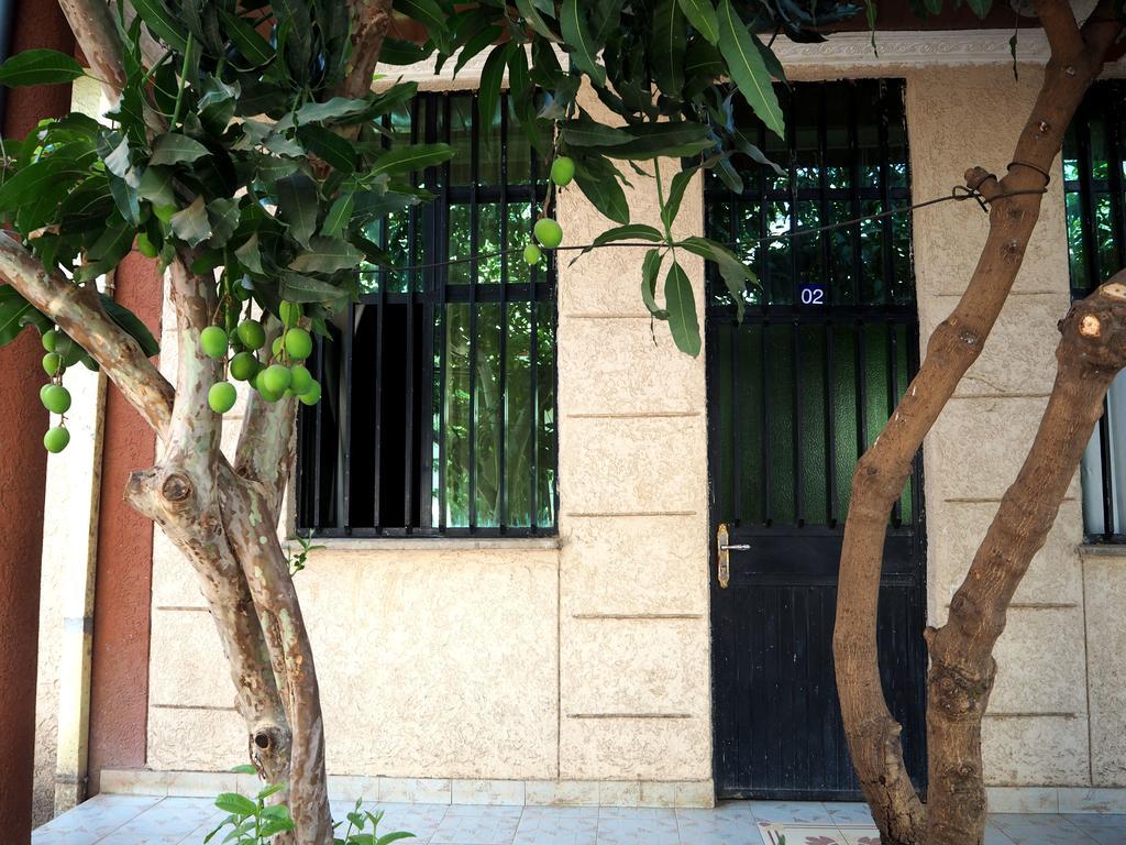 Manuhie Backpackers Lodge Bahir Dar Room photo
